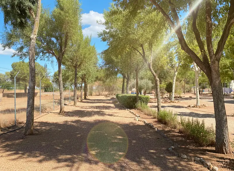 Jardín de Residencia de Salud Mental "Centro Vereda", en Argamasilla de Alba