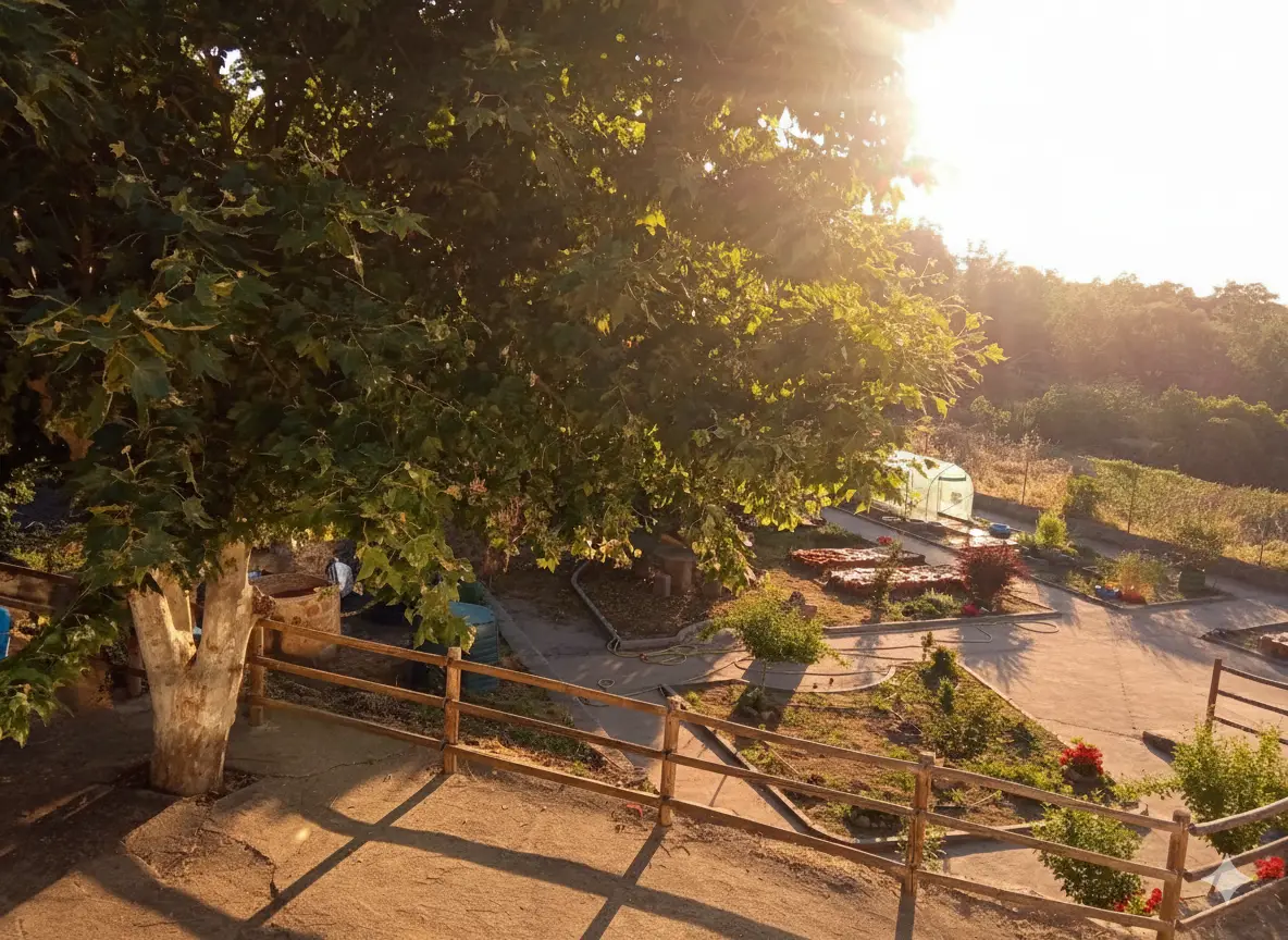Fachada de Residencia de Mayores y Centro de Día de Aceituna, en Aceituna