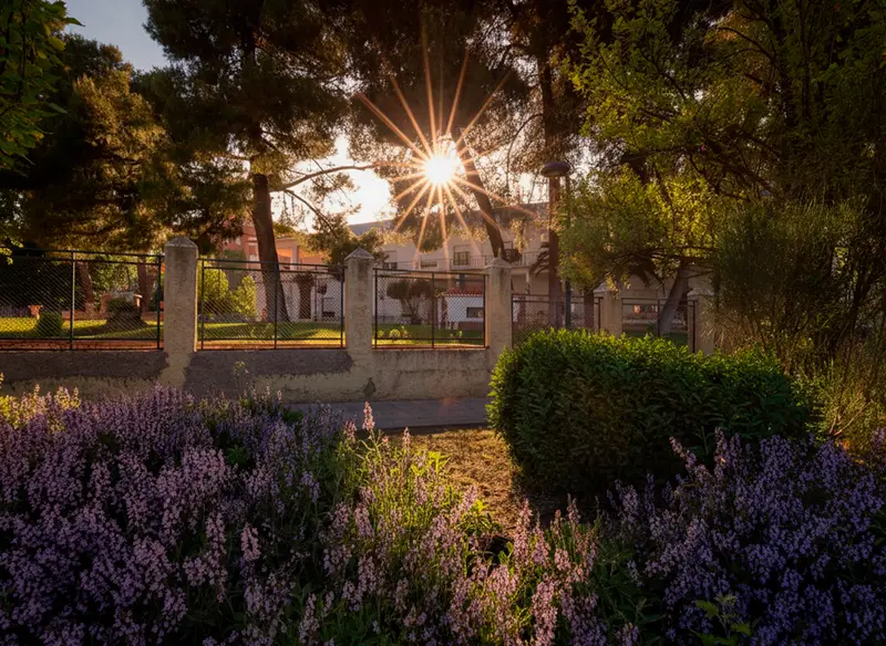Jardín de Residencia de Mayores San José, en Almansa