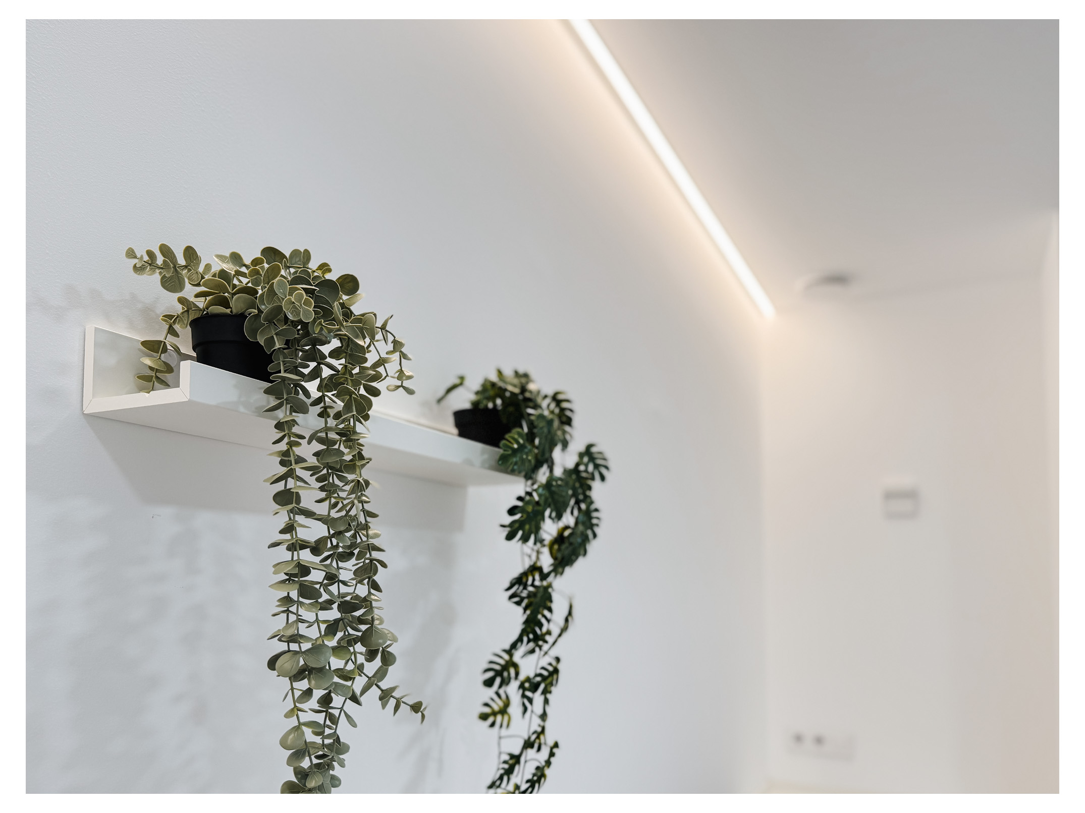 plantas colgantes en residencia de ancianos Campillo de Altobuey de Cuenca